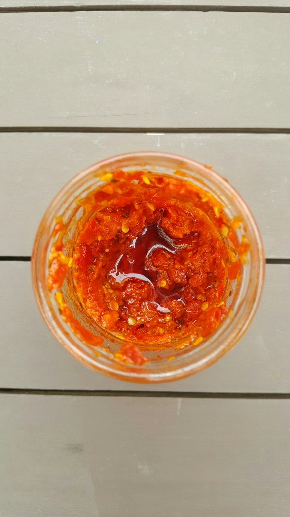 wp-1464563035711 image