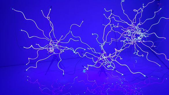 15895994_10101641004751841_3371504395568453871_o